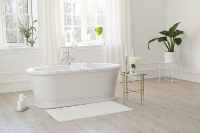 Professional Bathtub Setup